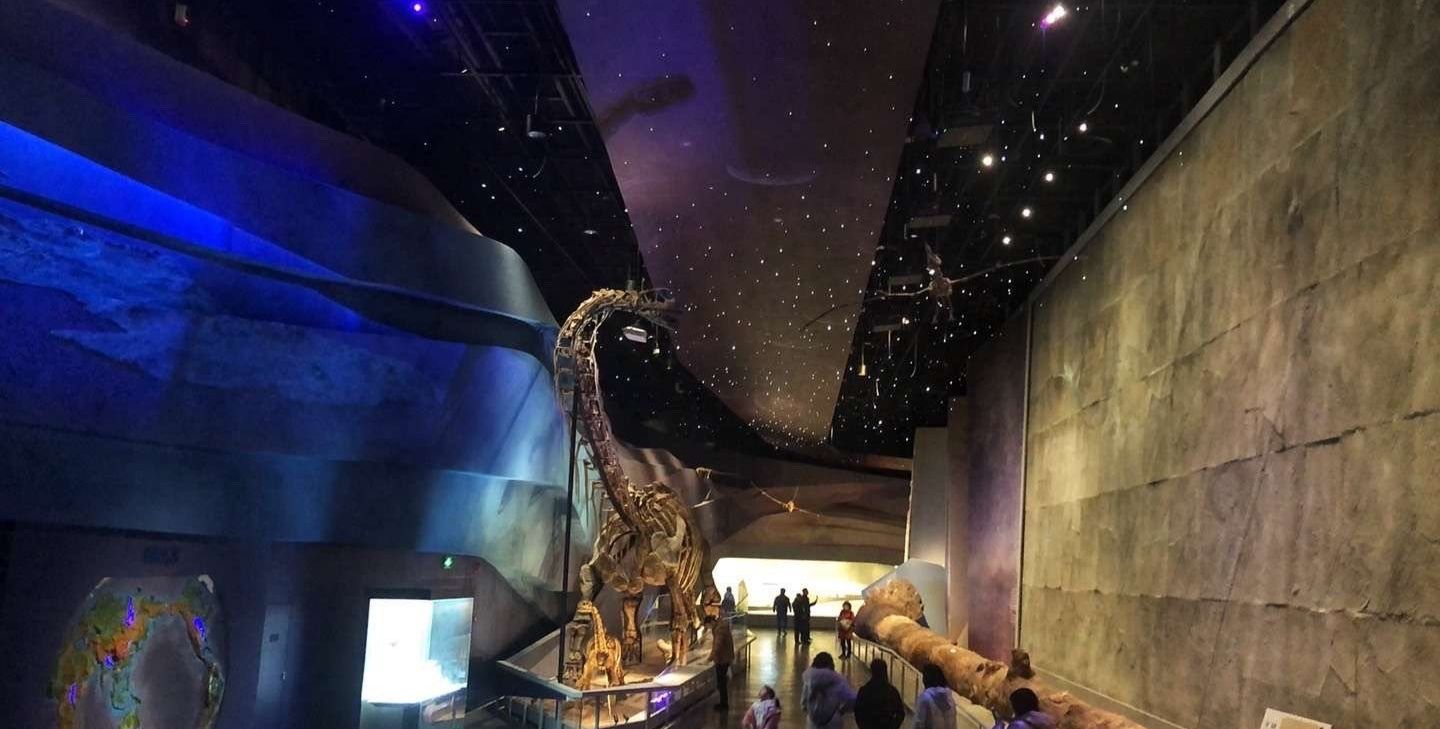 藏在武汉园博园里的神仙博物馆——贝林大河生命馆