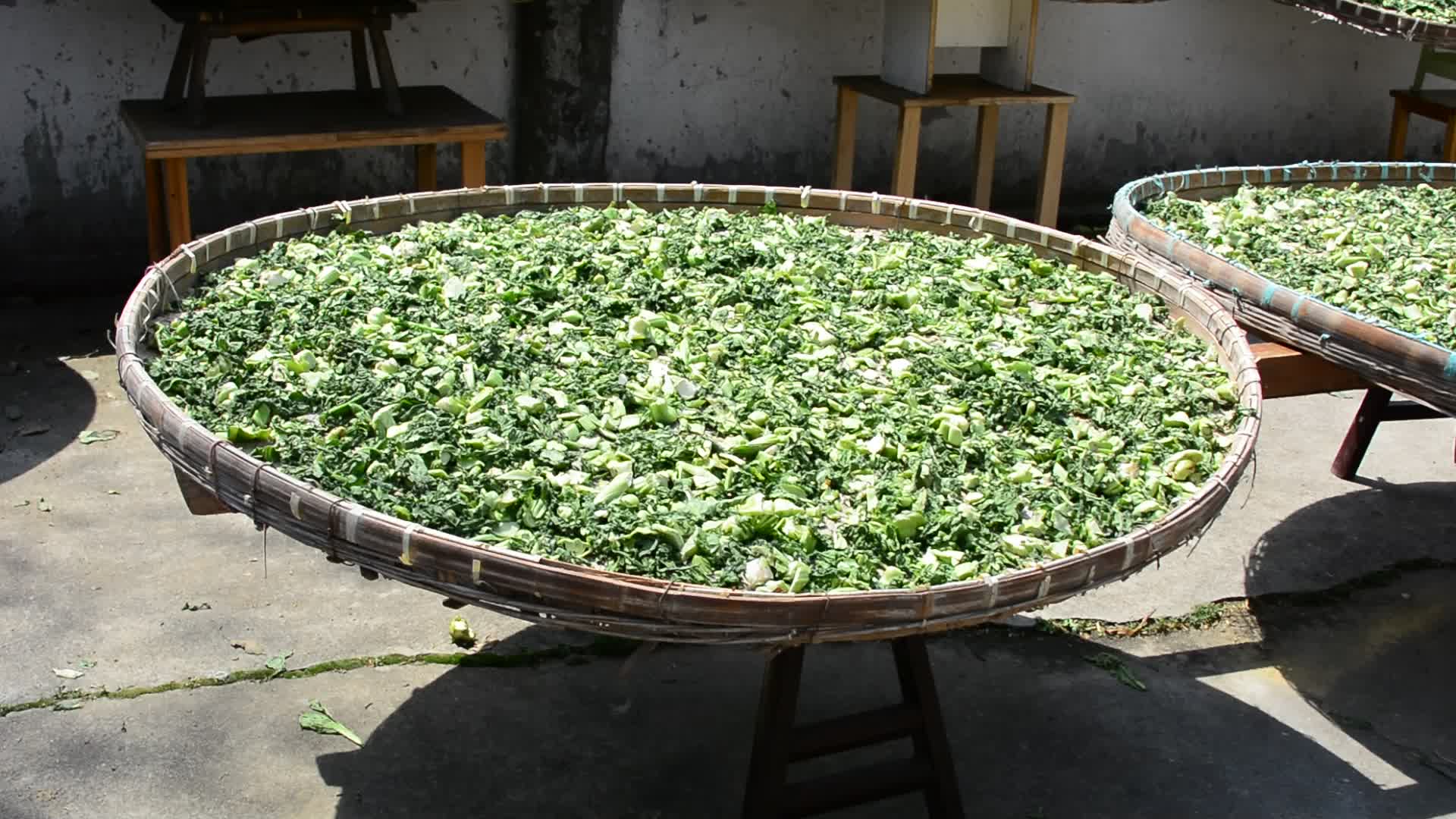 春好时光晒咸菜