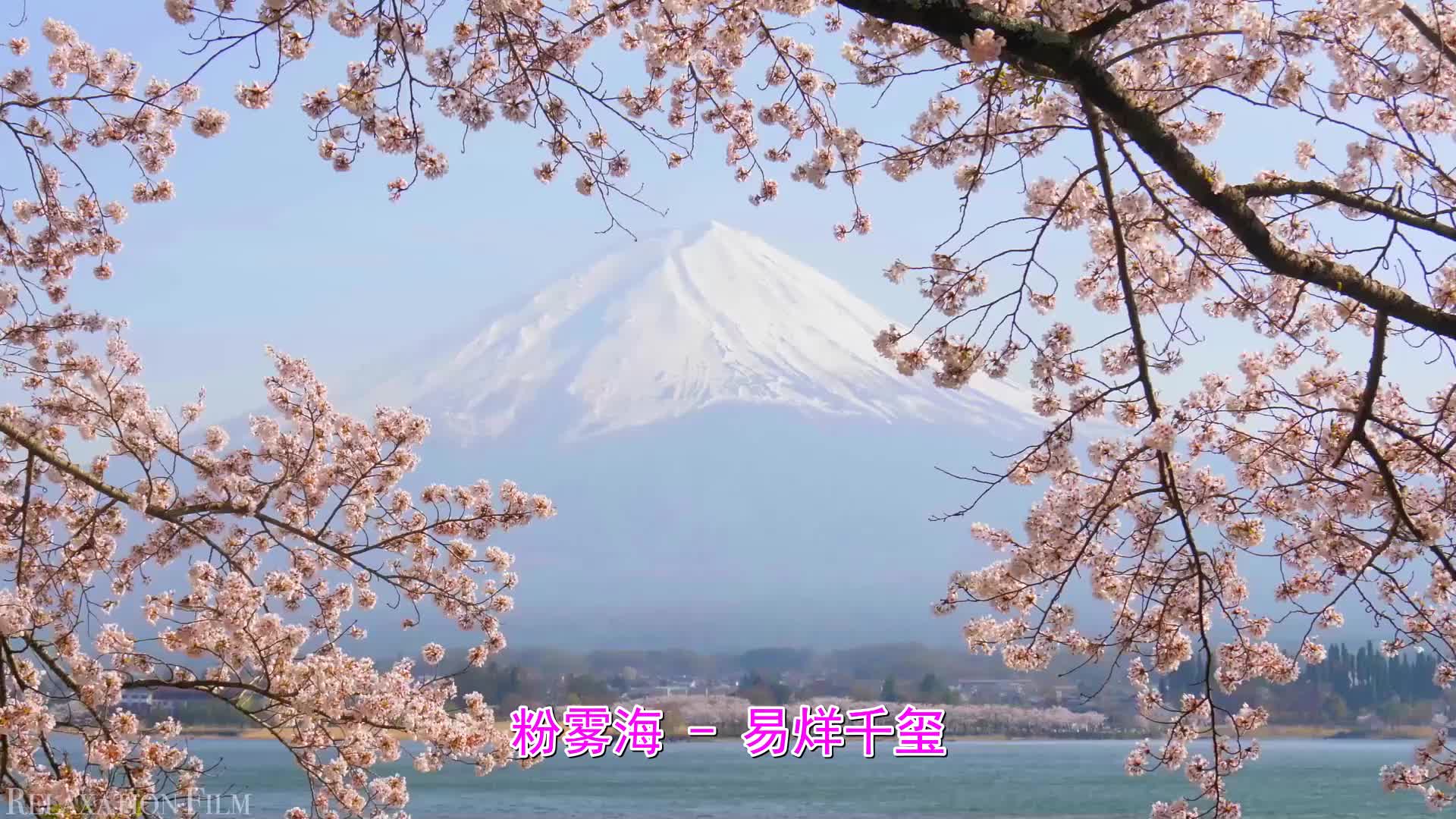 这首经典的《粉雾海》感情至深,好歌值得一听