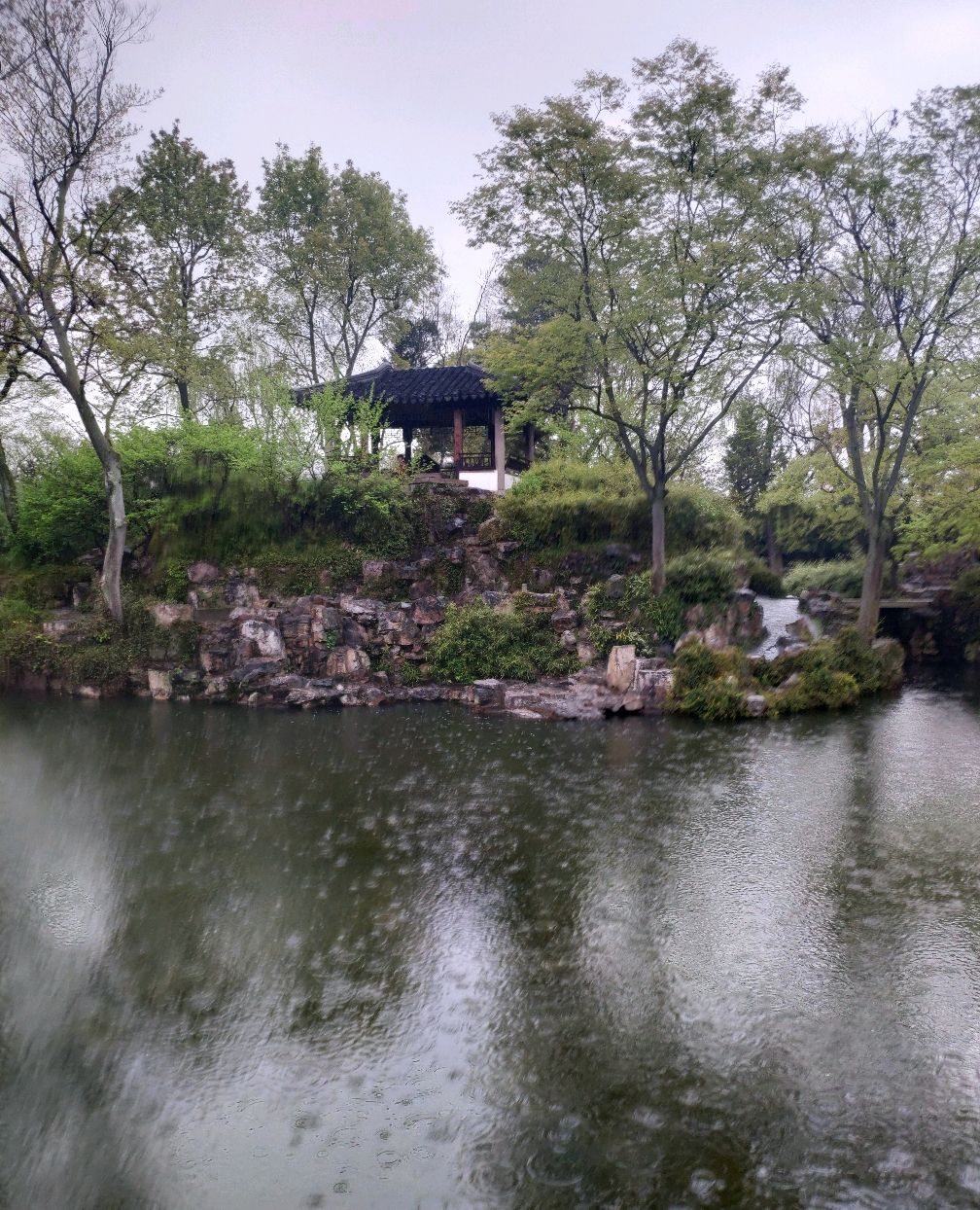 苏州园林之雨中游览拙政园