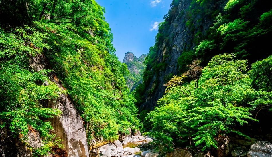 1/ 8太白青峰峡森林公园位于太白县桃川镇,距西安160公里,距太白县8