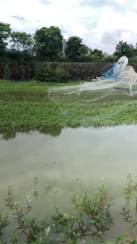 这撒网捕鱼撒出气质高雅