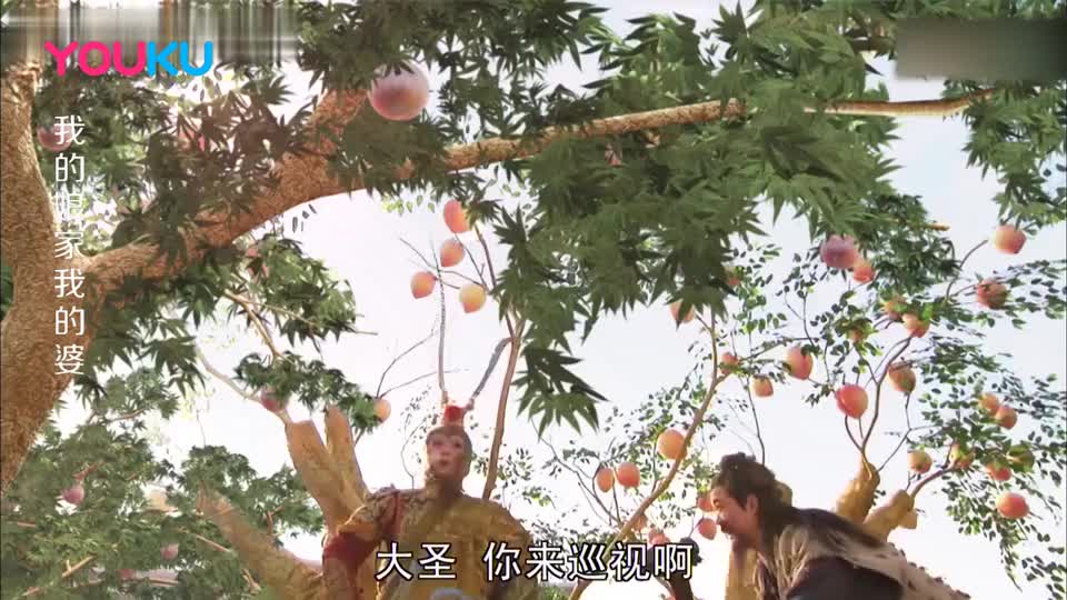 七仙女到蟠桃园摘桃,被孙悟空定了身,扭头溜了!