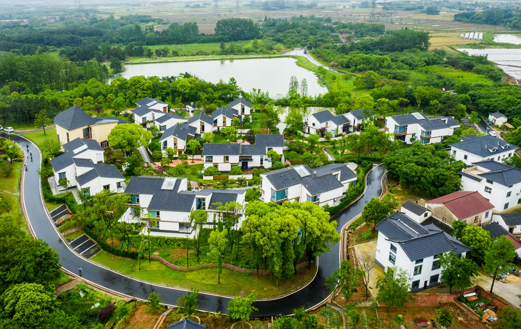 龙城乡情好山好水牛马塘曹山花居地瓜村顾常华摄影