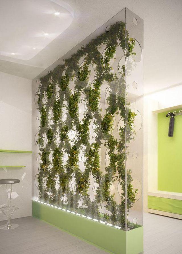 别出心裁,用了绿植做隔墙,室内养花种菜,自成一道风景