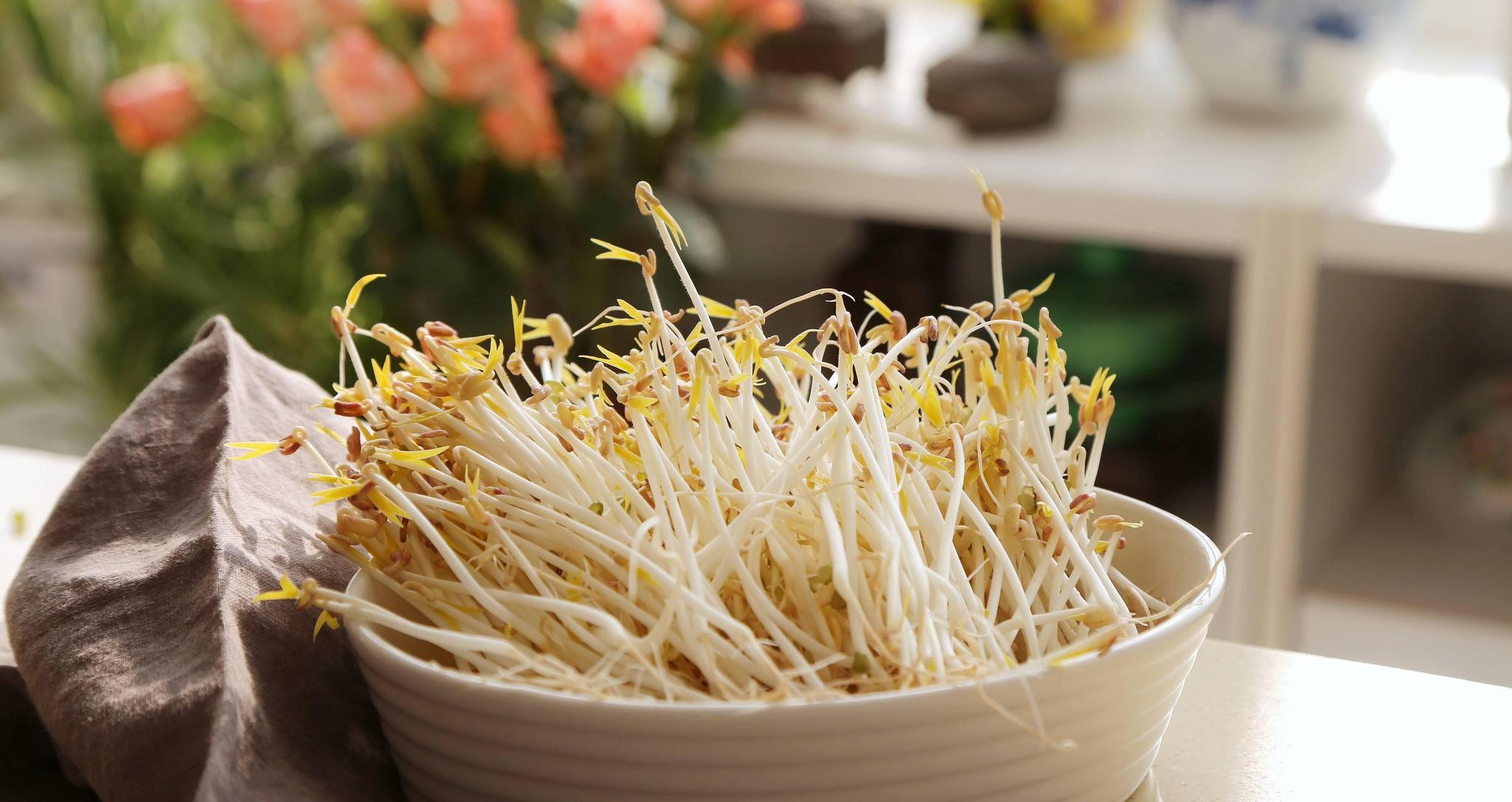 一个饮料瓶"生豆芽",7天收2斤,省钱又好玩,一个冬天吃不完|豆芽|绿豆