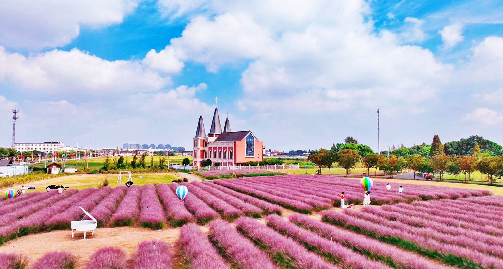 无锡鹅湖玫瑰园,粉黛进入最佳观赏期,国庆打卡正当时.__财经头条