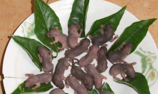 这些让人想到就难以下咽的“美食”,你敢吃吗?休闲区蓝鸢梦想 - Www.slyday.coM 这些让人想到就难以下咽的“美食”,你敢吃吗?休闲区蓝鸢梦想 - Www.slyday.coM