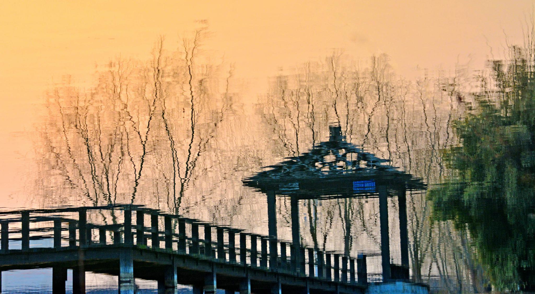 森林游戏背景故事