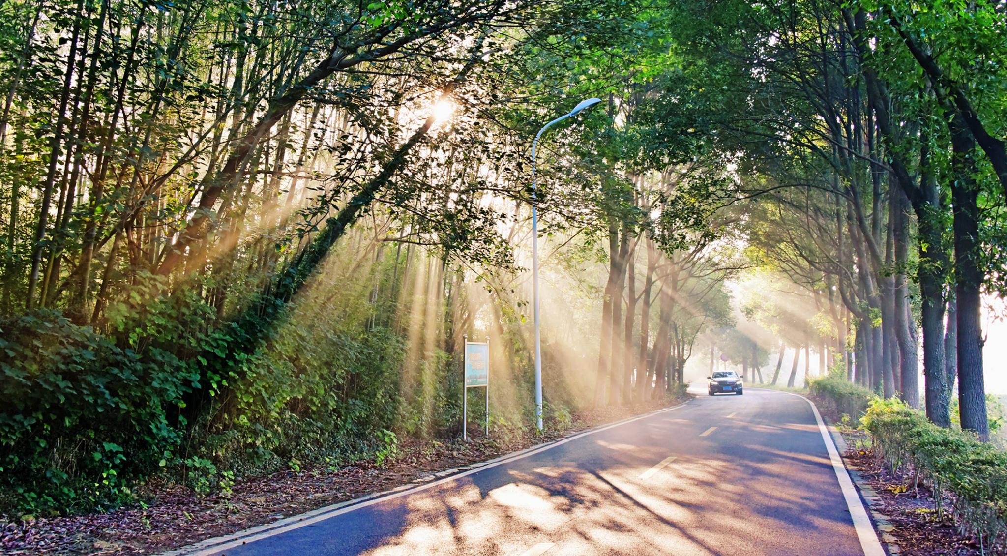 上海出现罕见的“海市蜃楼”：物影上投，它是怎么形成...