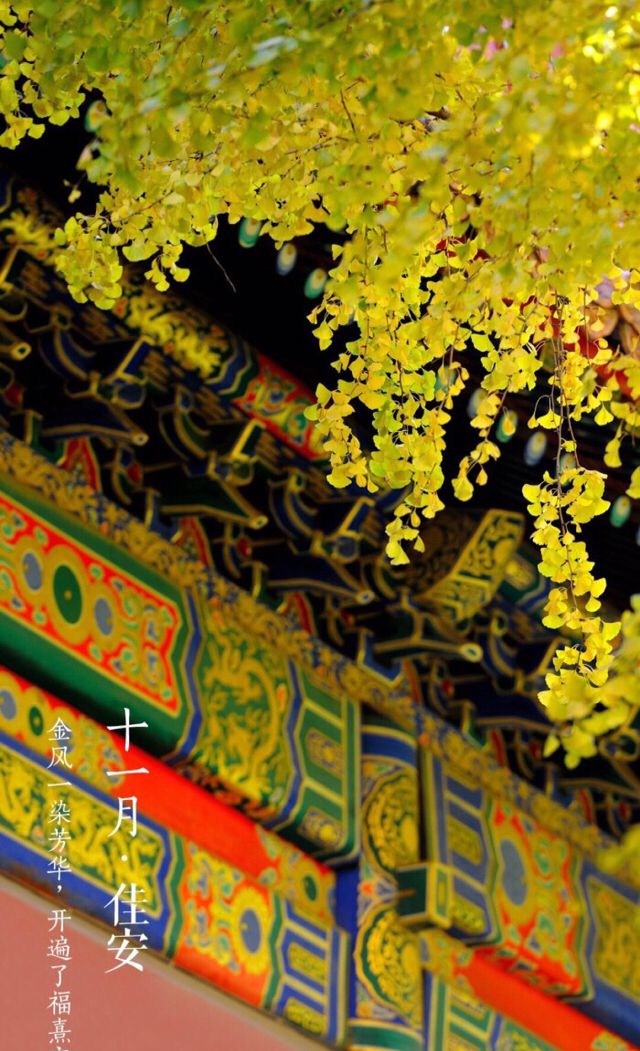 故宫十二月份壁纸集锦