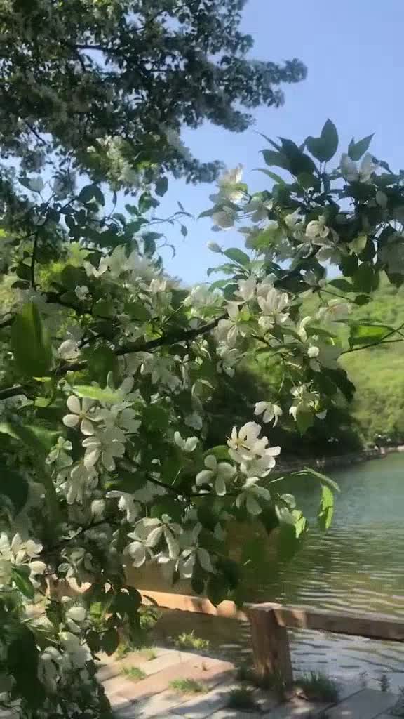 六哲的《不要丢下我》,放松音乐,声音干净明亮_手机新浪网