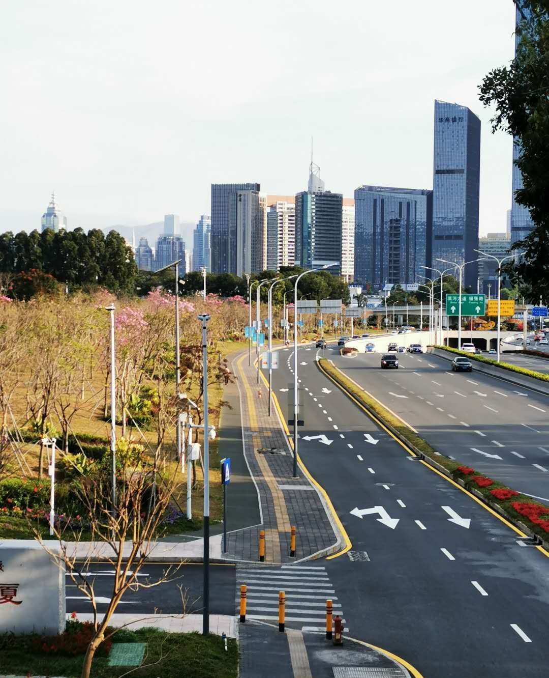 深圳的城市道路绿化真的有点牛!看看福田区这条南北主干道的绿化