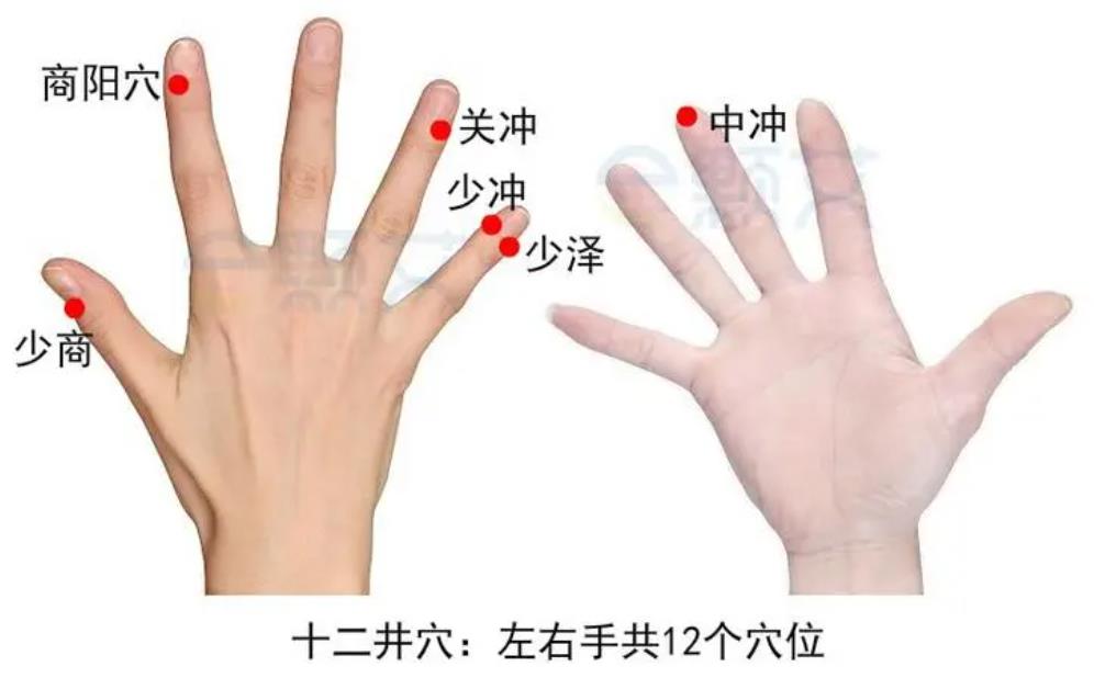 十二井穴在哪里？