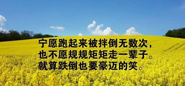 发朋友圈很火的正能量心灵鸡汤语录第一句就很赞