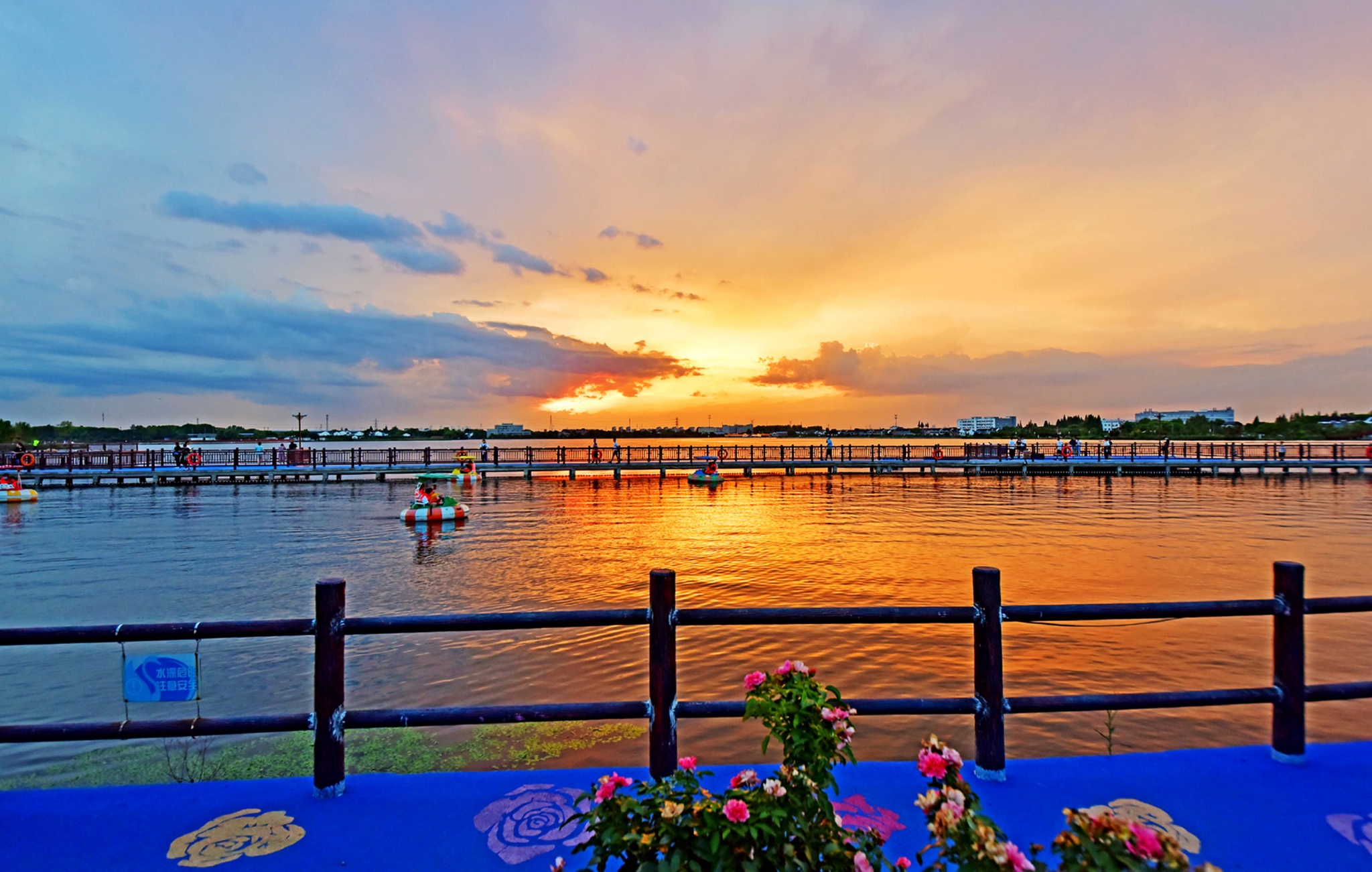 夕照鹅湖玫瑰园,无锡锡山区鹅湖镇,江苏省特色田园乡村—鹅湖村__财经