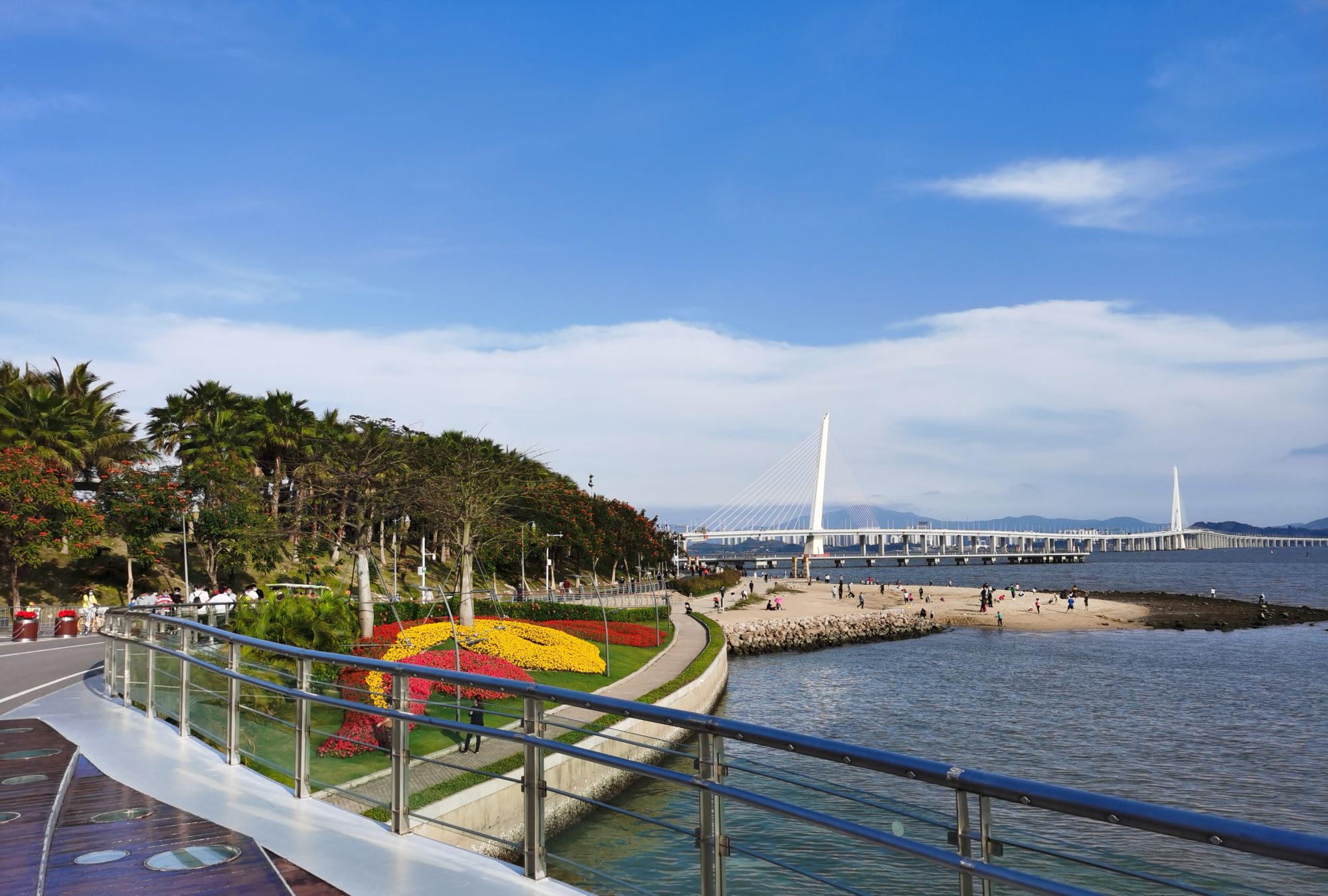 沐浴在阳光下深圳湾