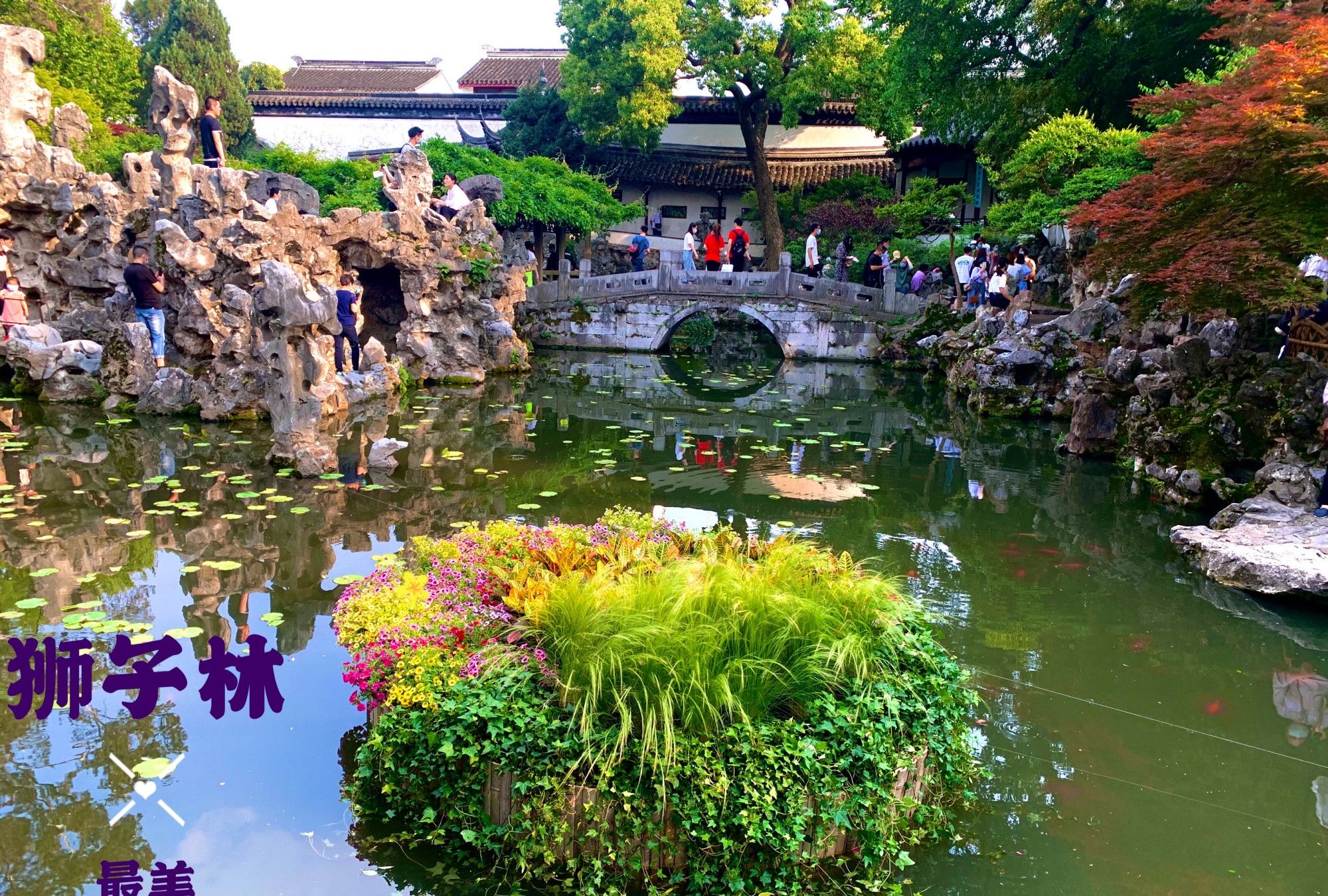 游苏州园林狮子林美景,享受视觉的盛宴