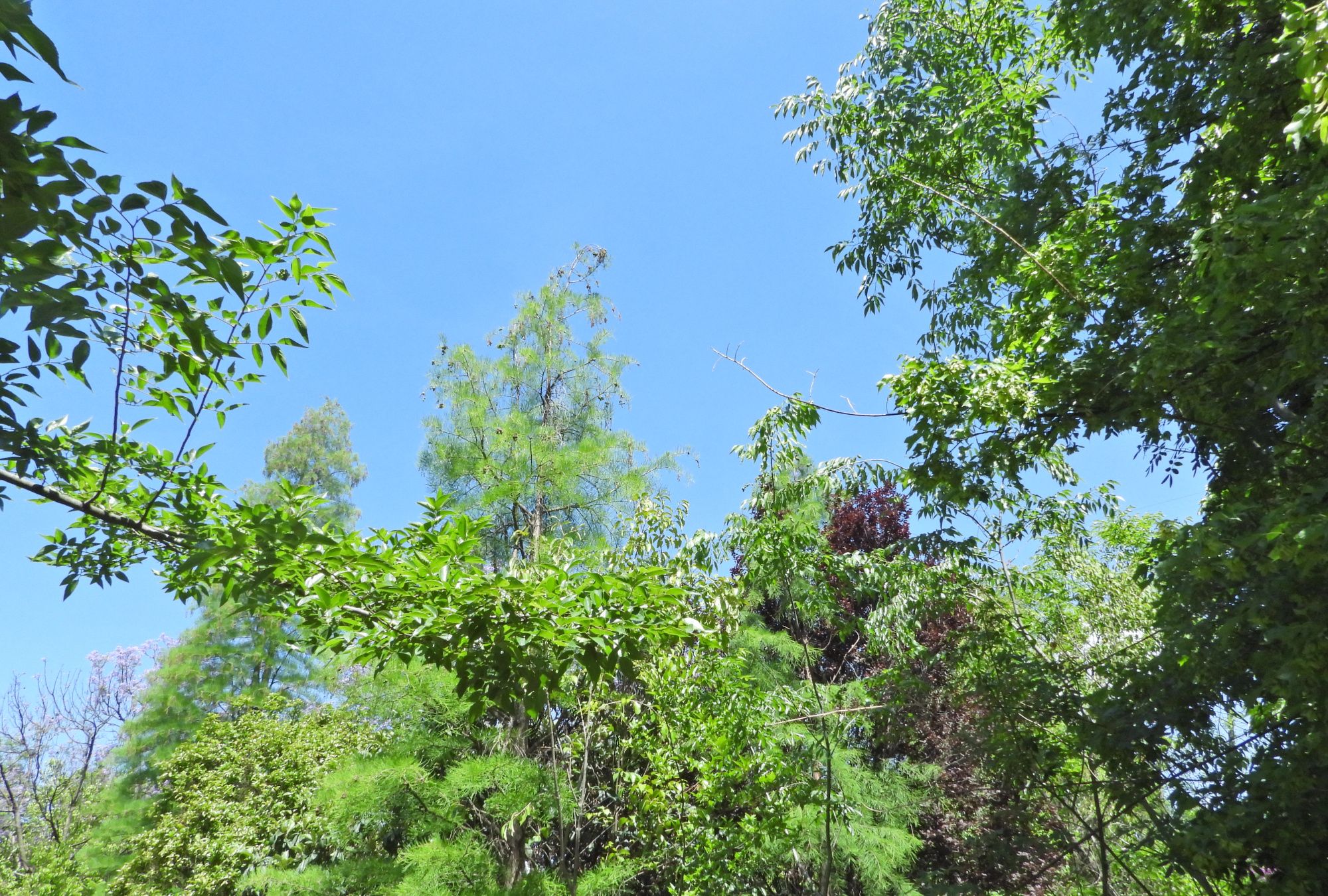 五月游记美丽的景色宜人图片_高清图集_新浪网
