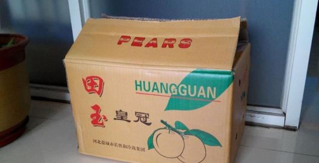 我再婚前夫送来一箱梨,我扔进柜子没有吃,两天后打开柜子我哭了