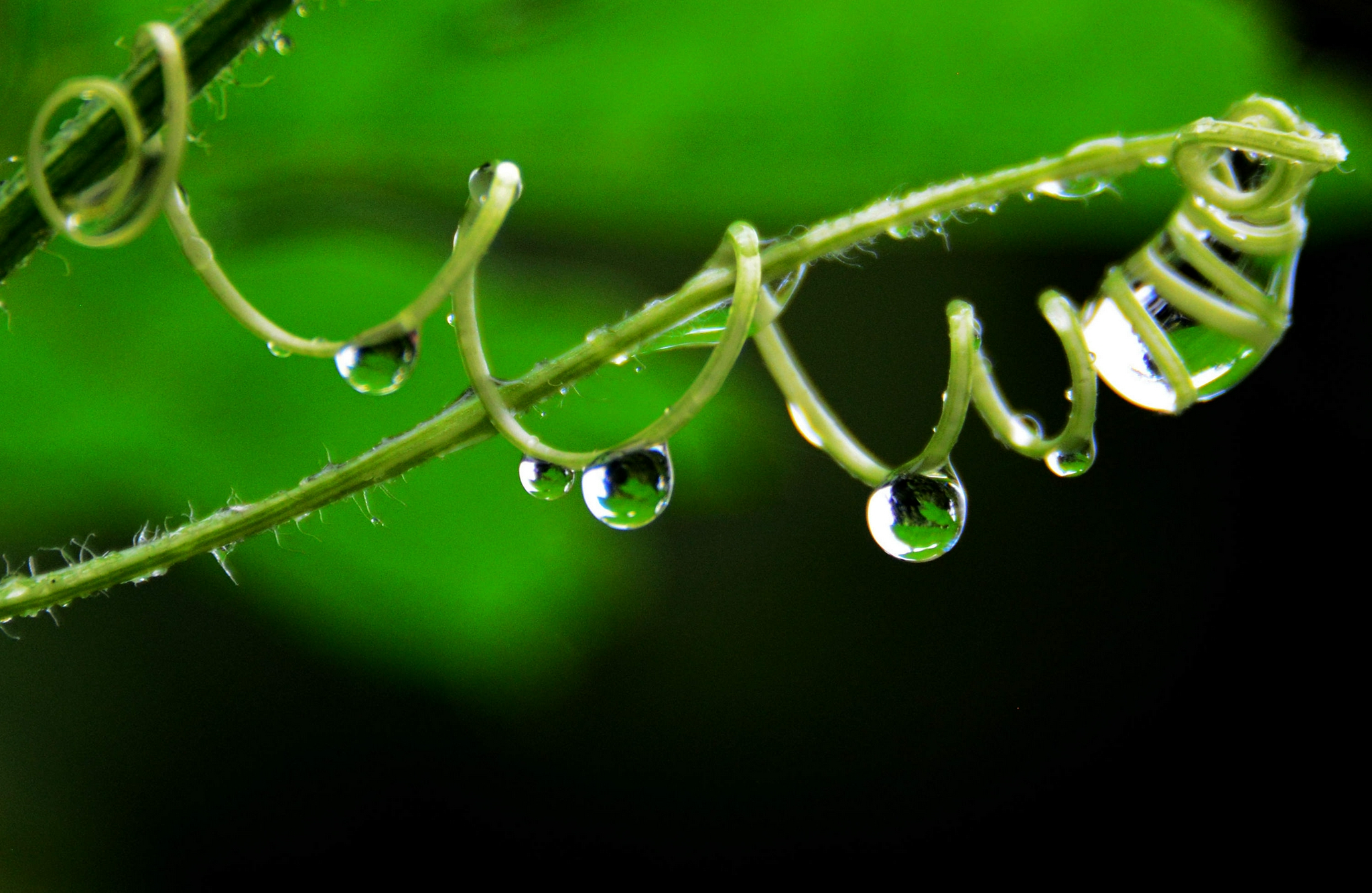 雨后乡村的早晨