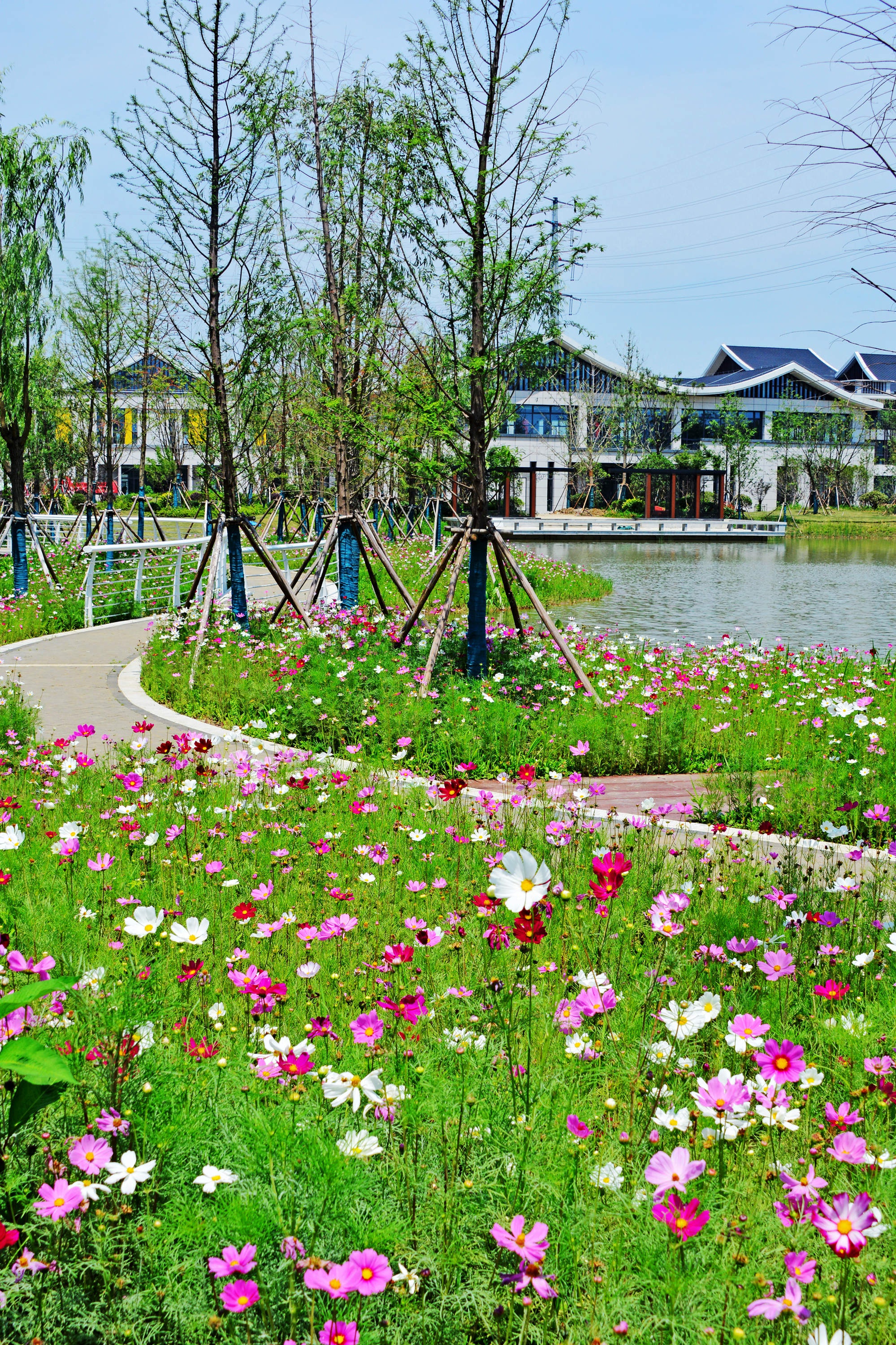 锡山区又一网红打卡地即将诞生云林滨水公园初见雏形江苏无锡