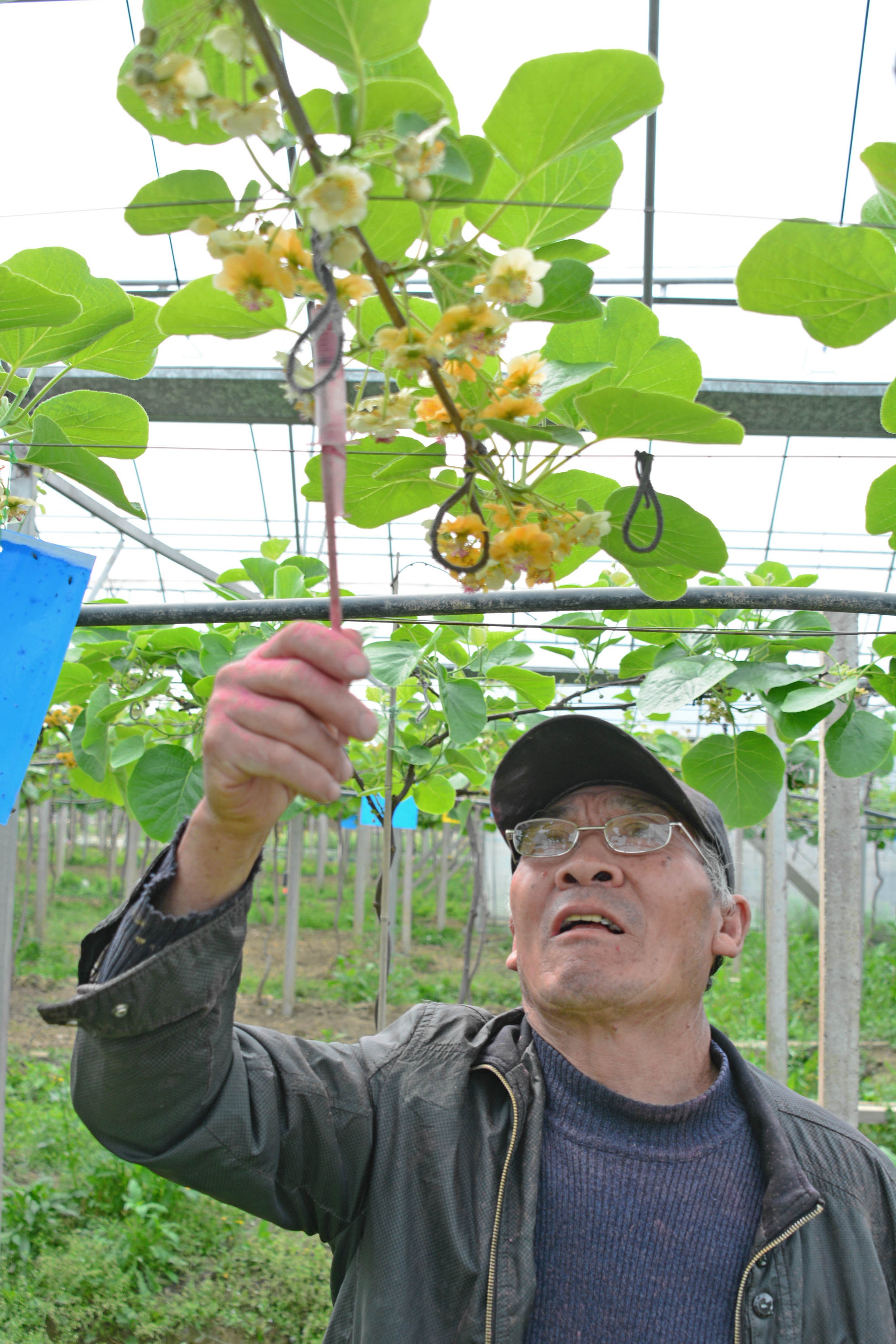 据了解，最新数据显示：安镇小巷子有可以耍的地方？2025年真实体验与实用推荐