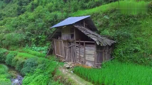 大山里破旧的老房子,没有人居住,假如给你50万你敢来居住一年吗