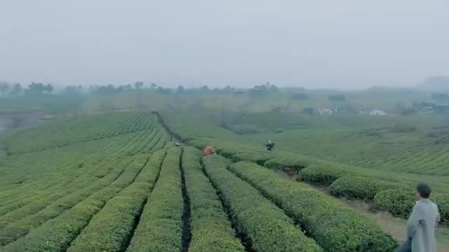 张子灏觉得海青村景美,夸孙光明有眼光