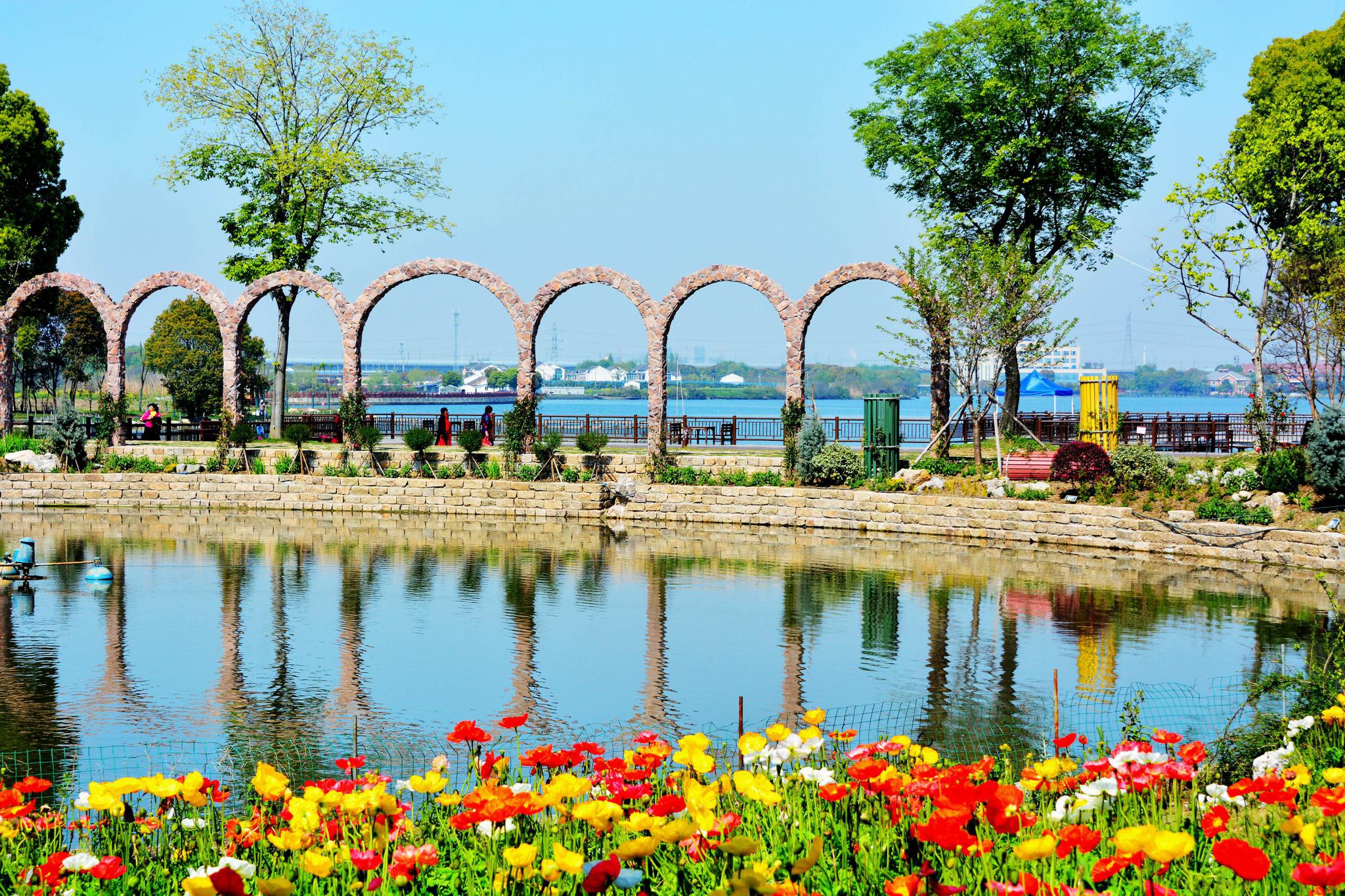 玫瑰园赏花渐入佳境