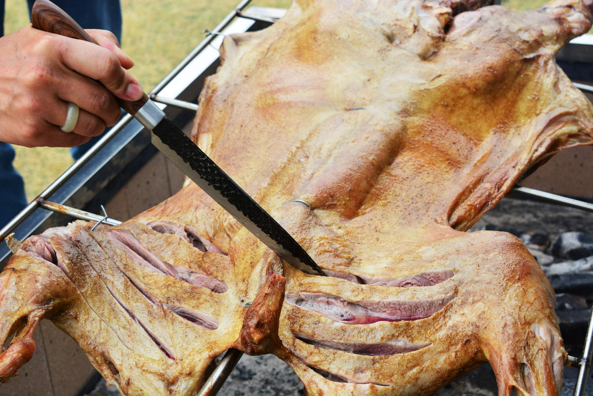 鸿翔家庭农场户外烤全羊有草原风情的感受无锡锡山区安镇街道