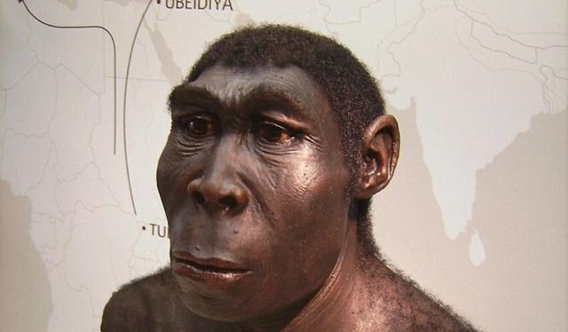 河北发现200万年前古人进食场景,学者:将改写人类起源历史!