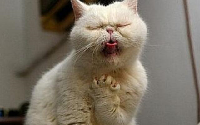 鱼刺卡喉咙别再喝醋了教你这么做鱼刺自己溜出来