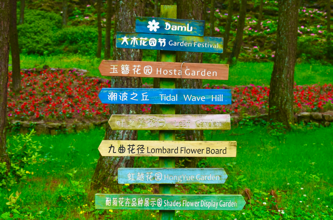 这个网红打卡点有一个十分浪漫的名字——大木花谷林下花园,位于重庆