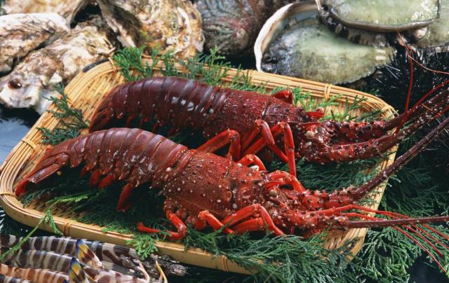 这种食物放在非洲被嫌弃，在国内少有人吃得起，吃货：送一打给我休闲区蓝鸢梦想 - Www.slyday.coM