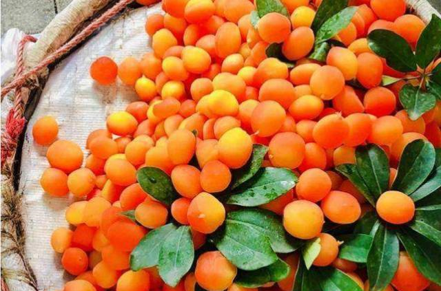 水果居然也能造假这2种水果大多都是人工合成购买需谨慎