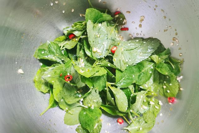 薄荷叶|凉拌|食材_新浪新闻