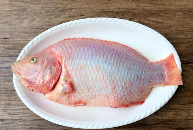 【紫苏红烧鱼】食材:彩云雕1条,生姜20克,葱20克,紫苏适量,盐适量