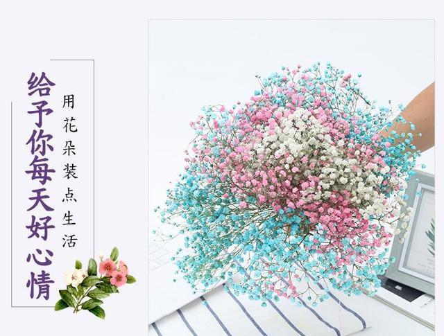 满天星花语,送不同的人寓意也不同,别乱送哦!