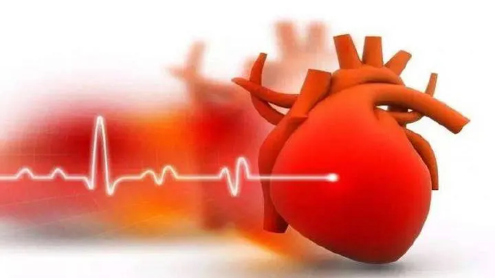 适合高血脂病人饮用的茶有哪些?看完你就有数了休闲区蓝鸢梦想 - Www.slyday.coM 适合高血脂病人饮用的茶有哪些?看完你就有数了休闲区蓝鸢梦想 - Www.slyday.coM