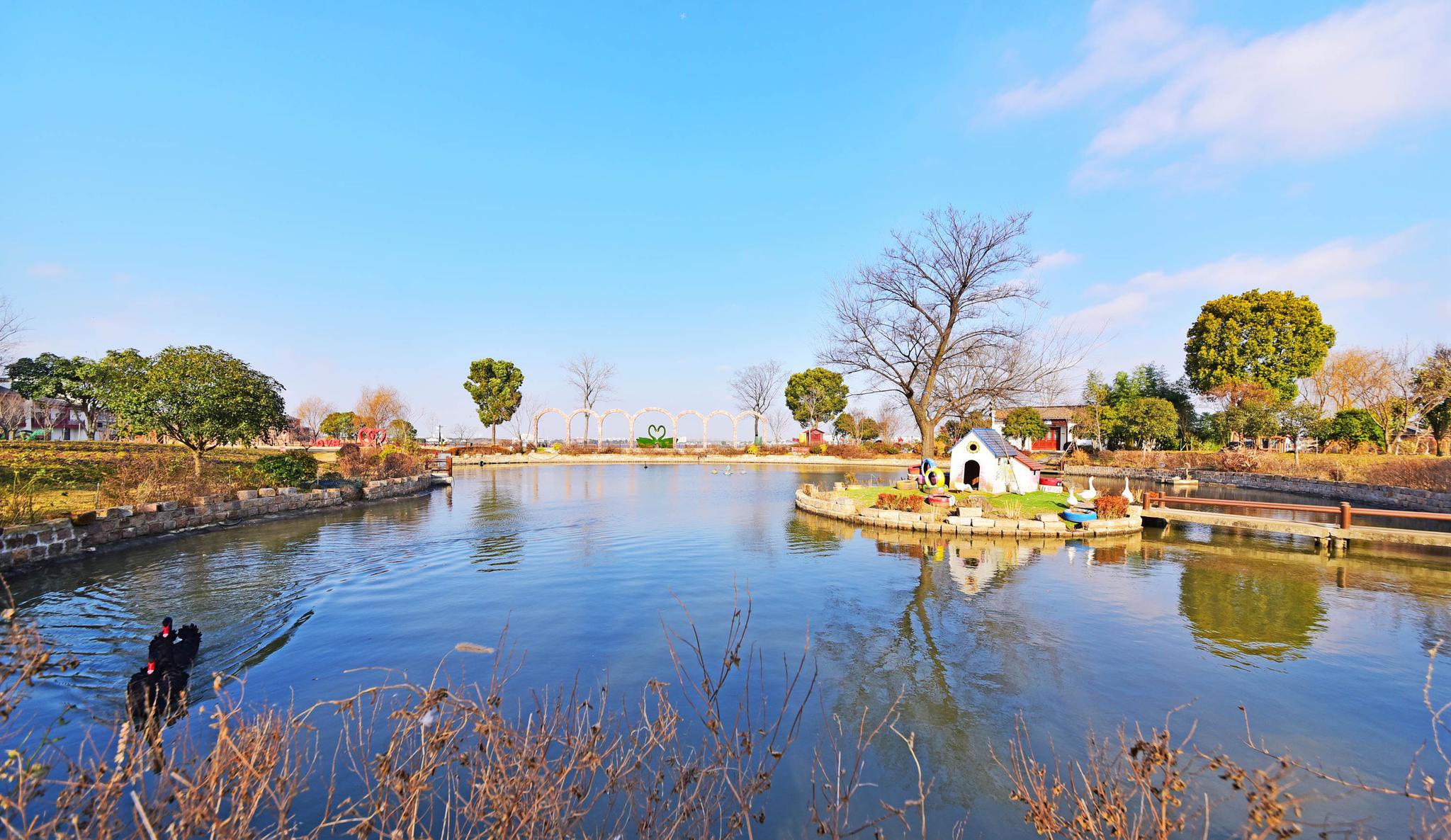 梅花迎春,到无锡鹅湖玫瑰文化园,"聆听"春天的脚步.