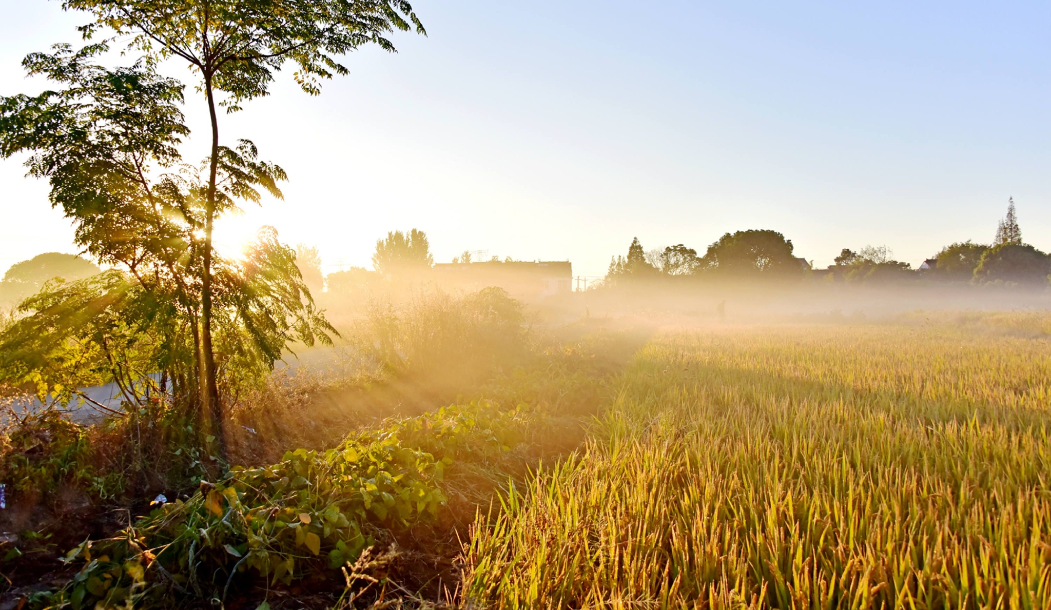 同城月的文化镜像,现代都市人的情感联结与空间重构