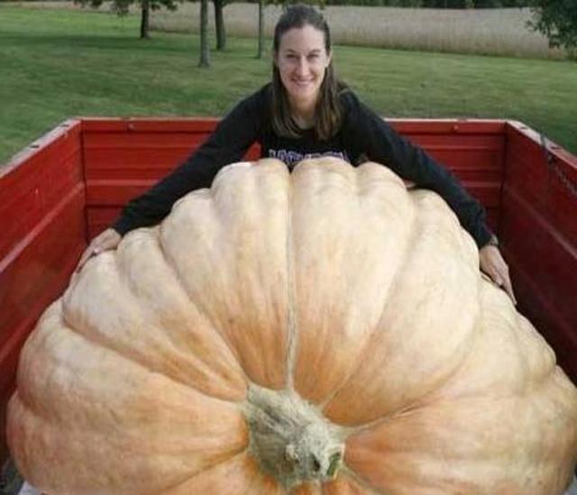 吉尼斯世界纪录之最最后一个一般人估计都看不清楚