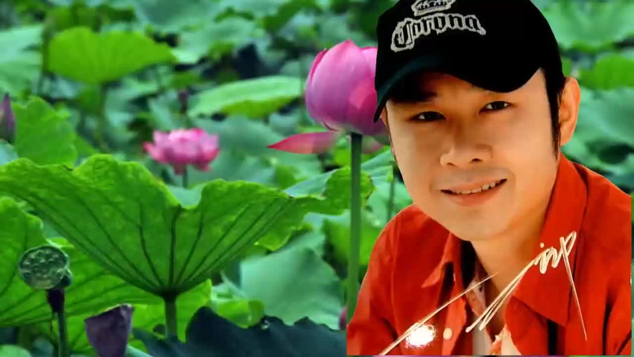 刀郎《永远的战士 映山红》等