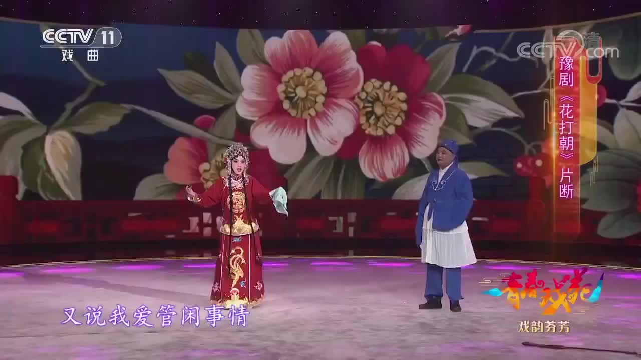 精彩豫剧《花打朝》片段,传统的剧目,观赏豫剧的表演