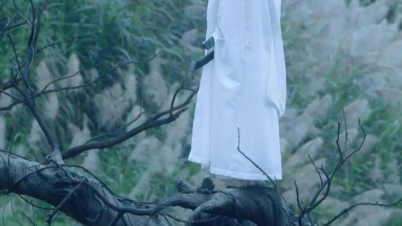 雪中悍刀行白衣剑客伪装徐凤年真假徐凤年花落谁家