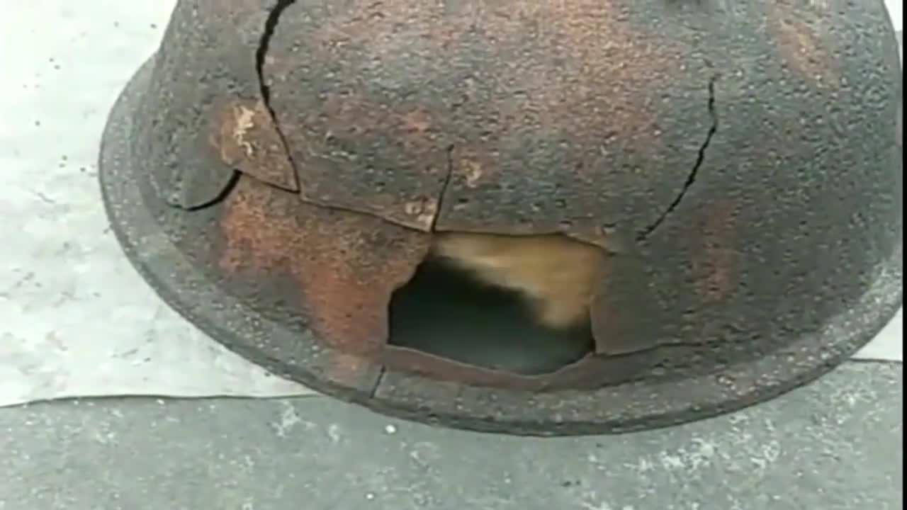 喵星人把一口破锅当盒子真是会玩