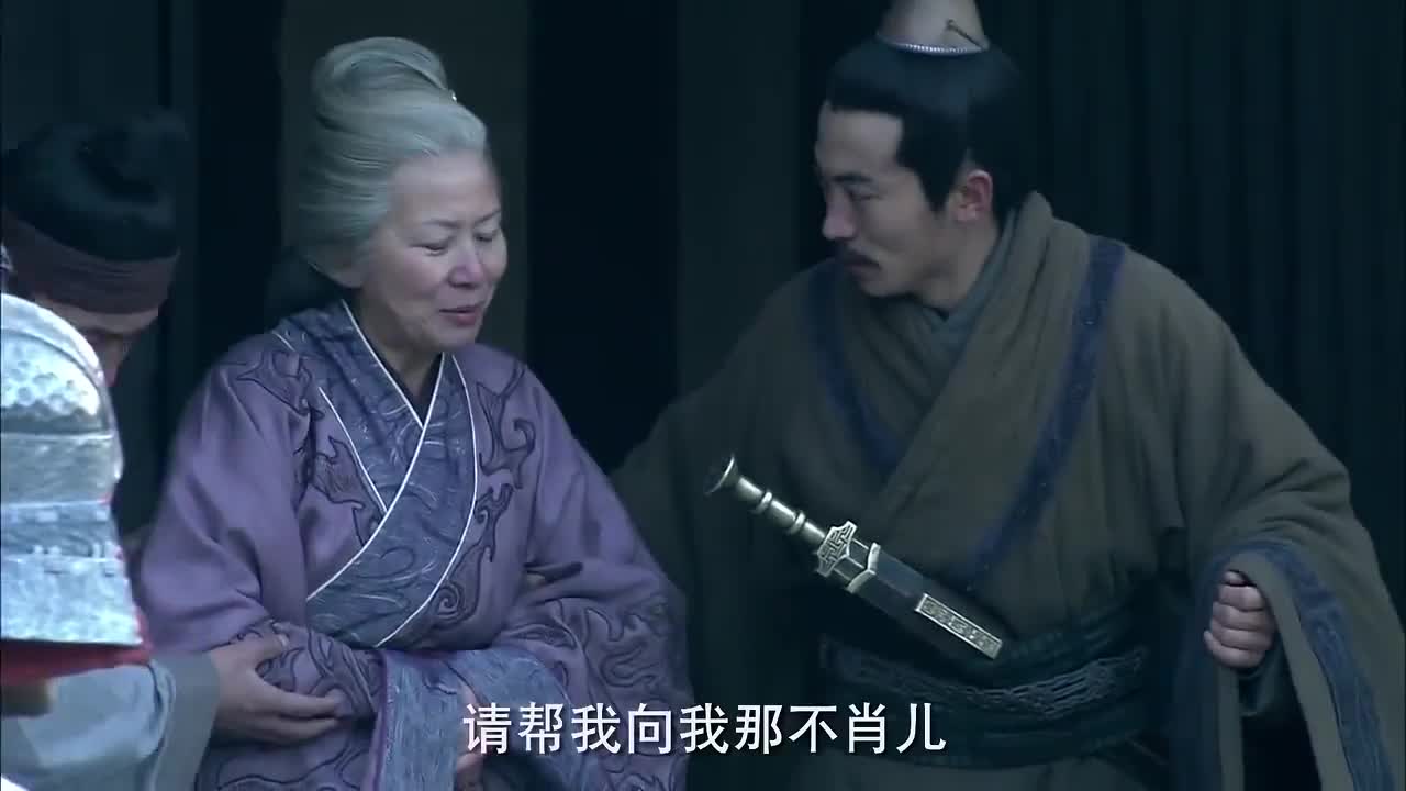 精彩视频王陵母亲深明大义为让王陵效忠刘邦拔剑自刎