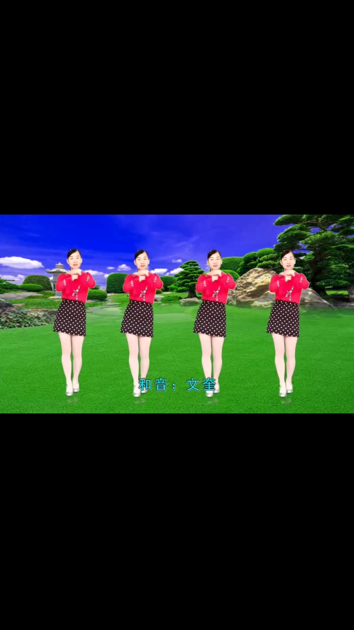 精选广场舞健身操歌曲庄妮干就得了舞姿简单大方