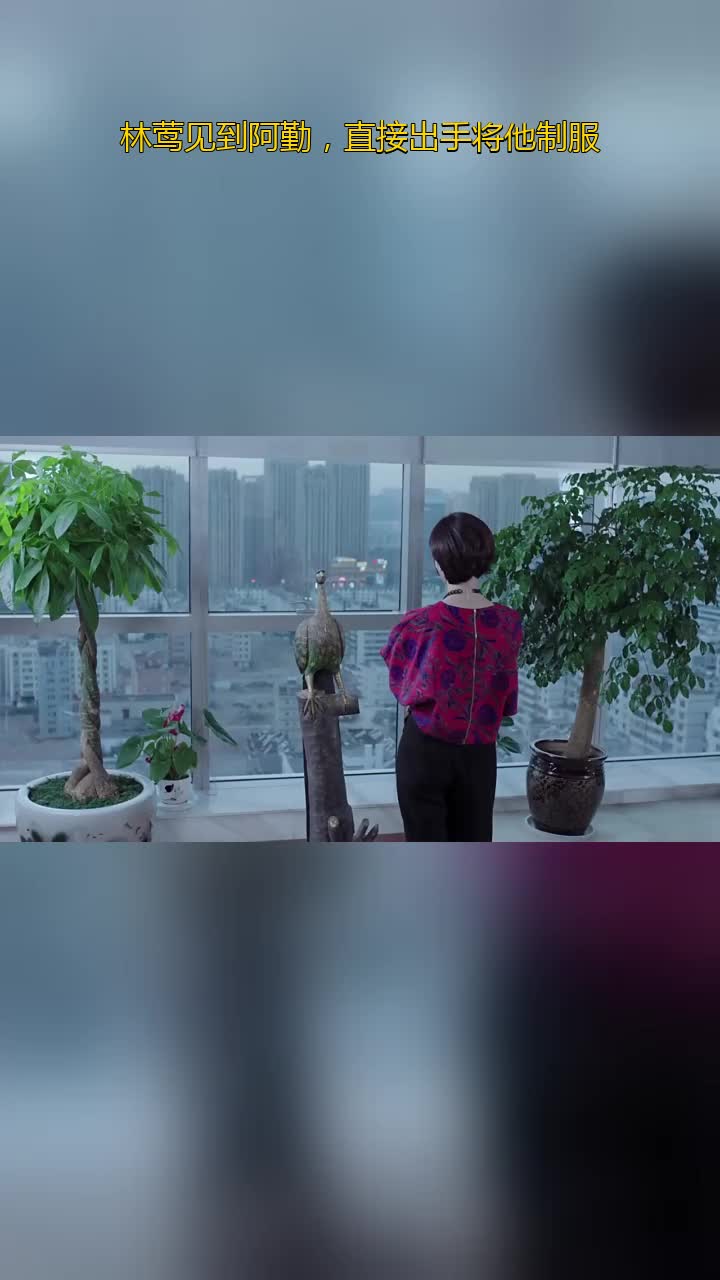 卧底归来林莺见到阿勤出手将他制服